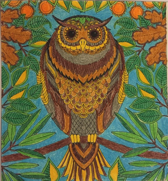 A large owl is in the center of this coloring page. The owl two shades of brown, with some yellow and light brown feathers. The owl sits on a branch that is surrounded by leaves in a variety of shapes. 