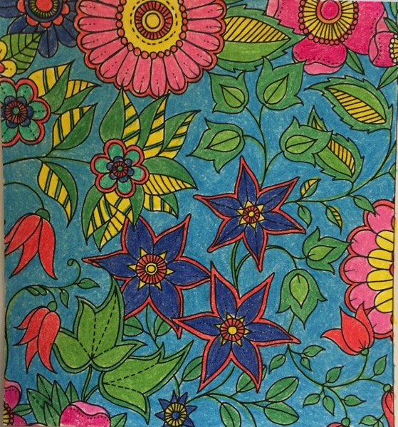 This coloring page is filled with brightly flowers in pink, yellow, orange, and blue. Several plants with green and yellow leaves are mixed in with the flowers.