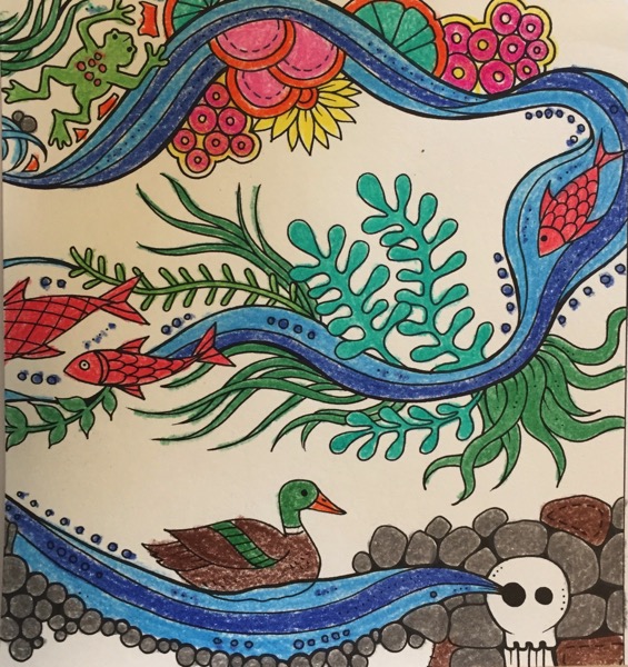 A winding river flows through this coloring page. Orange fish swim through it and off to the side. A duck swims in the bottom part of the river, and a frog jumps into the top of it. There are a variety of plants around the river. At the bottom are some grey and brown rocks. 