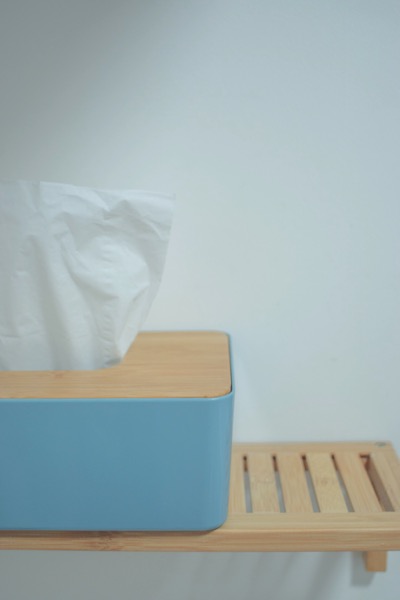 A blue plastic box, with a wooden top, has some tissues sticking out of it. The box is sitting on a wooden shelf. Photo by Krystof Hepner on Unsplash