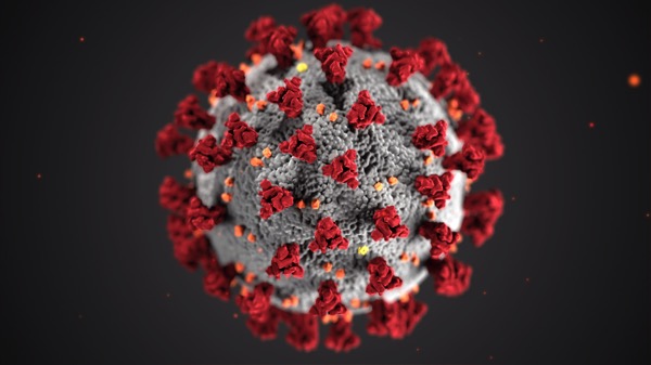An image of a coronavirus from the CDC on Unsplash