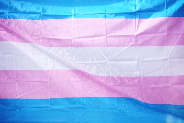 The transgender flag has the colors light blue, light pink, white, light pink, and light blue. By Alexander Grey on Unsplash