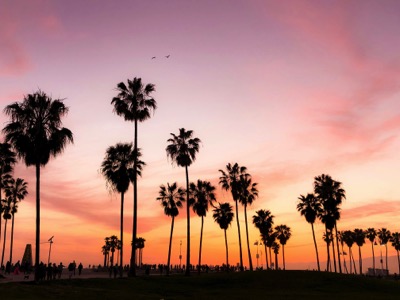 photo of palm trees in front of a colorful sunset by Viviana Rishe on Unsplash
